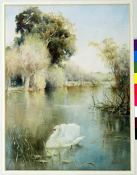 El monarca del lago